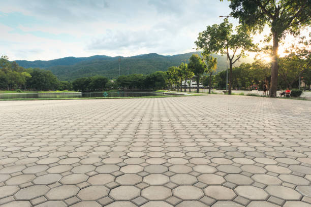 Best Driveway Pavers Contractor  in Milton, WI